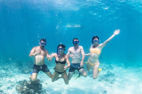 Full-Day Whale Sharks Swimming Experience On Ningaloo Reef - Gold Coast Attractions 5