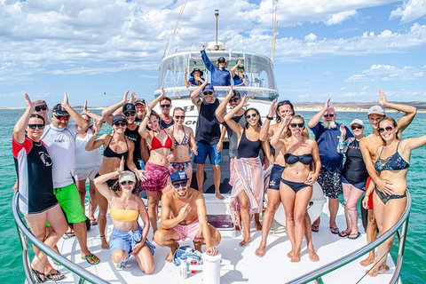 Full-Day Whale Sharks Swimming Experience On Ningaloo Reef - Gold Coast Attractions 1