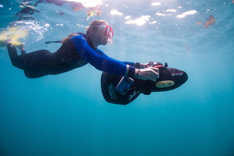 Full-Day Whale Sharks Swimming Experience On Ningaloo Reef - Gold Coast Attractions 4