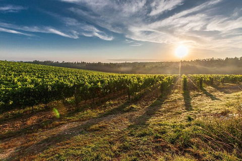 Perth To Margaret River Wine Tour - 2 Day Premium Boutique Wine Tour Experience - Gold Coast Attractions 0