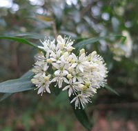 Booderee National Park - Gold Coast Attractions