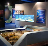Marine and Freshwater Discovery Centre - Gold Coast Attractions