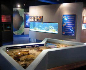 Marine And Freshwater Discovery Centre - Gold Coast Attractions 0