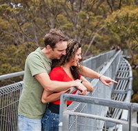 Valley of the Giants Tree Top Walk - Gold Coast Attractions