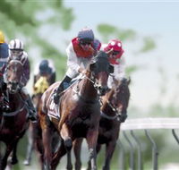 Colac Turf Club - Gold Coast Attractions