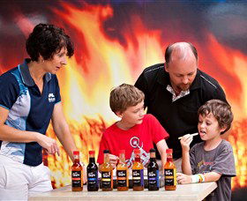  Gold Coast Attractions