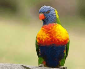 Booderee National Park - Gold Coast Attractions 1