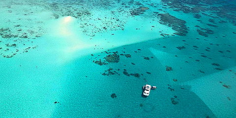 Ocean Free & Ocean Freedom - Cairns Premier Reef And Island Tours - Gold Coast Attractions 3