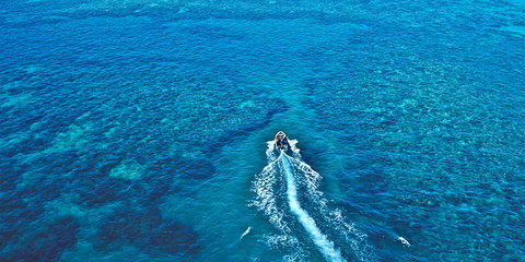 Ocean Free & Ocean Freedom - Cairns Premier Reef And Island Tours - Gold Coast Attractions 4