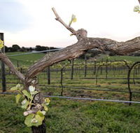 Nalbra Estate Wines - Gold Coast Attractions