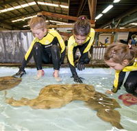 Australian Shark and Ray Centre - Gold Coast Attractions