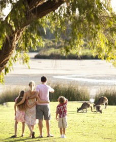Yanchep National Park - Bushwalking Trails - Gold Coast Attractions 0