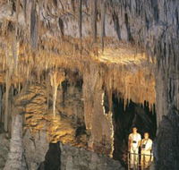Mammoth Cave - Gold Coast Attractions