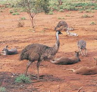 Hammond Park - Gold Coast Attractions