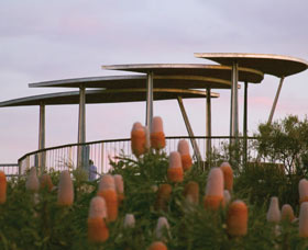 Reabold Hill Summit Boardwalk, Bold Park - Gold Coast Attractions 0