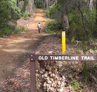 Old Timberline and Sidings Rail Trails - Gold Coast Attractions