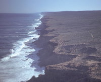 Book Denham Accommodation Vacations Gold Coast Attractions Gold Coast Attractions