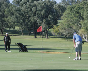 Spalding Park - Gold Coast Attractions 0