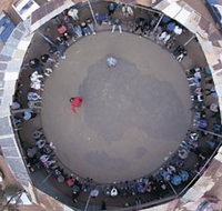 Two-Up School - Gold Coast Attractions