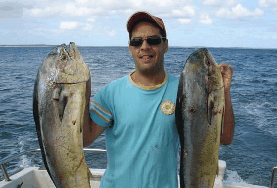 Jervis Bay Fishing and Charters - Gold Coast Attractions