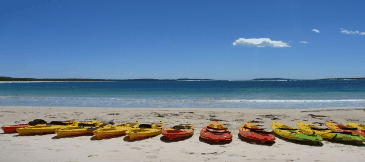 Jervis Bay Kayak & Paddlesports - Gold Coast Attractions 5
