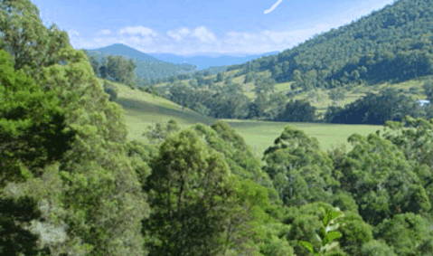 Blue Poles Gallery - Gold Coast Attractions 1