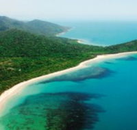 Jungle Tours and Trekking - Gold Coast Attractions