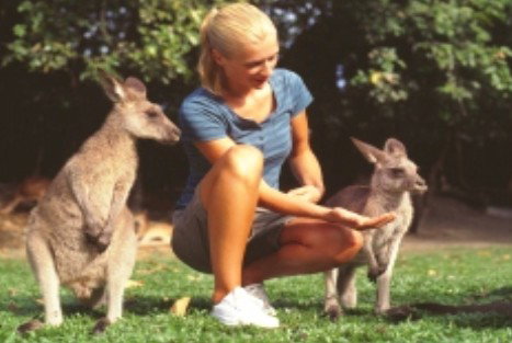 Jungle Tours And Trekking - Gold Coast Attractions 1