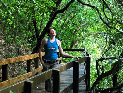Jungle Tours And Trekking - Gold Coast Attractions 4