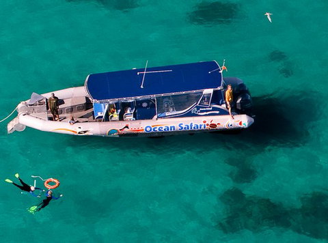 Jungle Tours And Trekking - Gold Coast Attractions 5