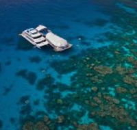 Great Adventures Reef and Green Island Cruises - Gold Coast Attractions