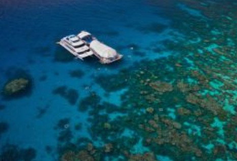 Great Adventures Reef And Green Island Cruises - Gold Coast Attractions 0