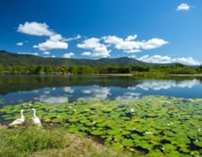 Blazing Saddles Adventures - Gold Coast Attractions 1