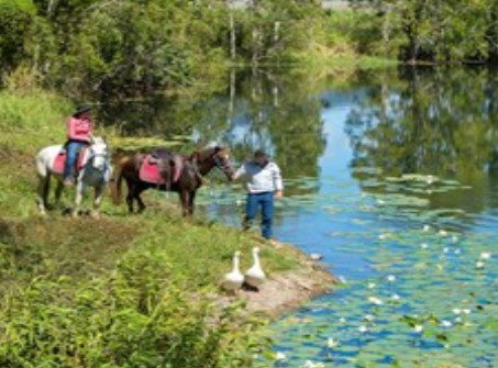Blazing Saddles Adventures - Gold Coast Attractions 2