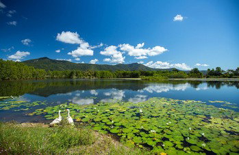 Blazing Saddles Adventures - Gold Coast Attractions 3