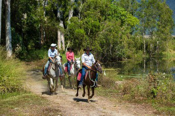 Blazing Saddles Adventures - Gold Coast Attractions 4