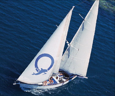 Ocean Free & Ocean Freedom - Cairns Premier Reef And Island Tours - Gold Coast Attractions 0