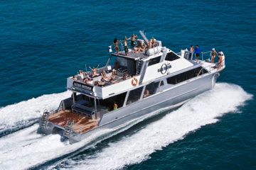 Ocean Free & Ocean Freedom - Cairns Premier Reef And Island Tours - Gold Coast Attractions 2