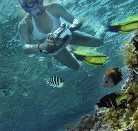 Calypso Reef Charters - Gold Coast Attractions