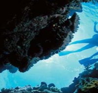 Deep Sea Divers Den - Gold Coast Attractions