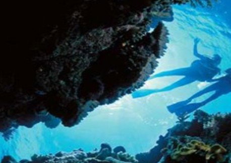 Deep Sea Divers Den - Gold Coast Attractions 0