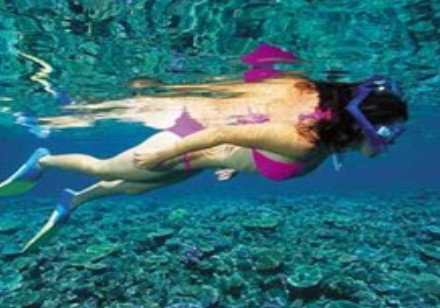 Deep Sea Divers Den - Gold Coast Attractions 1