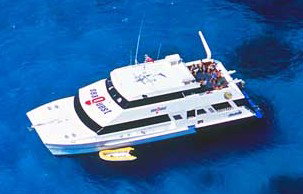 Deep Sea Divers Den - Gold Coast Attractions 3