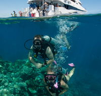 Down Under Cruise and Dive - Gold Coast Attractions