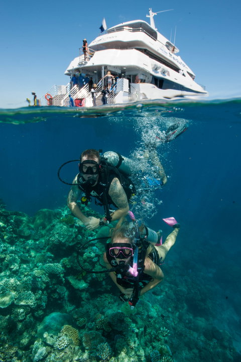 Down Under Cruise And Dive - Gold Coast Attractions 0