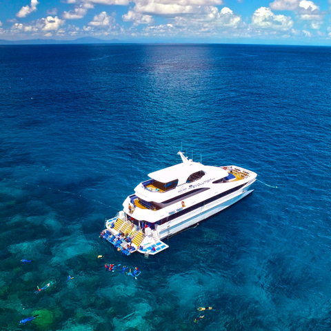 Down Under Cruise And Dive - Gold Coast Attractions 1