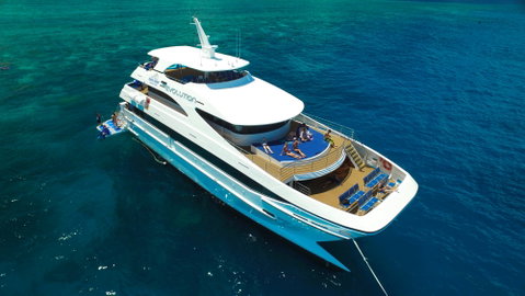 Down Under Cruise And Dive - Gold Coast Attractions 2