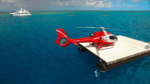 Down Under Cruise And Dive - Gold Coast Attractions 3