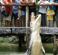 Hartley's Crocodile Adventures - Gold Coast Attractions