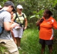 Ingan Tours - Spirit of the Rainforest Tour - Gold Coast Attractions